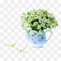 白色小菊花-空若网 白色小菊花-空若网