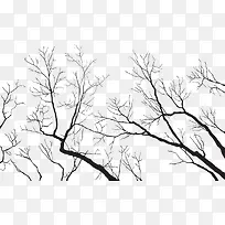 仰视缠绕的树枝-空若网 仰视缠绕的树枝-空若网