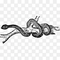 ��֦�ϲ��Ƶ���ʸ��ͼ-������