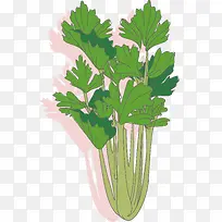 ʸ����ƽ��ɫ�۲�-������