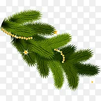 绿色圣诞松枝-空若网 绿色圣诞松枝-空若网