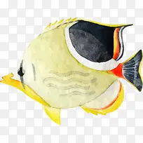 ���纣�����ֻ���С��-������