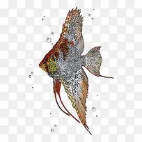 ʸÁ¿ÈÈ´øÓã-¿ÕÈôÍø ʸÁ¿ÈÈ´øÓã-¿ÕÈôÍø