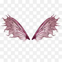 紫色蝴蝶翅膀-空若网 紫色蝴蝶翅膀-空若网