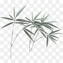 �й��� ī�� ��ͳ-������