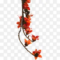 垂直落下的树枝-空若网 垂直落下的树枝-空若网