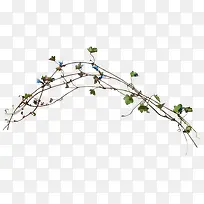 树枝-空若网 树枝-空若网