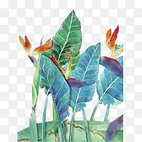 ��ɫ��Ҷͼ��-������