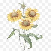 ���·�ɫ����-������