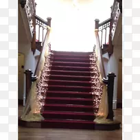 ¥�ݵذ�������˵���.��Ů��-������