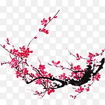 高清摄影手绘插画梅花-空若网 高清摄影手绘插画梅花-空若网