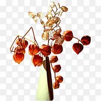 Ë®²Ê»¨»ÜËØ²Ä»¨»ÜͼƬ-¿ÕÈôÍø Ë®²Ê»¨»ÜËØ²Ä»¨»ÜͼƬ-¿ÕÈôÍø