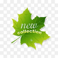 �＾��Ҷ������ǩ-������