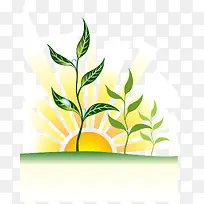 日落植物水珠矢量素材-空若网 日落植物水珠矢量素材-空若网