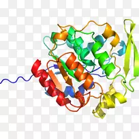 ʳƷ�߲˼�����.ľ��-������