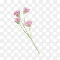 �ֻ�ˮ��Ԫ������Ԫ��-������