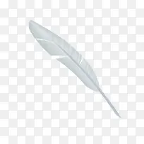 白色羽毛-空若网 白色羽毛-空若网