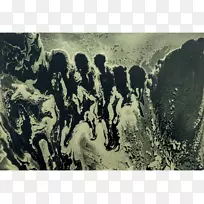 原木摄影树-金粉-空若网 原木摄影树-金粉-空若网