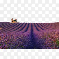 ޹�²�-������