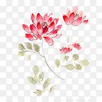 花朵插画-空若网 花朵插画-空若网