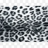 黑色斑纹皮毛背景-空若网 黑色斑纹皮毛背景-空若网