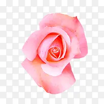 ����������õ��ͼƬ�ز�-������