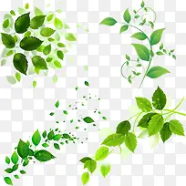 绿色树叶-空若网 绿色树叶-空若网