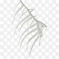 �����֦-������