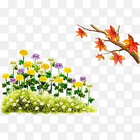 ��ͨ�������Ҷ-������