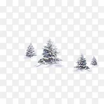 冬季里的树-空若网 冬季里的树-空若网