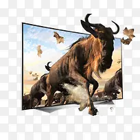 3D效果-空若网 3D效果-空若网