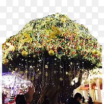 挂满星星礼物的许愿树-空若网 挂满星星礼物的许愿树-空若网