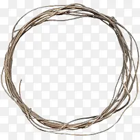 树枝-空若网 树枝-空若网