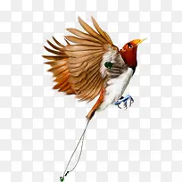 飞翔的小鸟透明背景素材-空若网 飞翔的小鸟透明背景素材-空若网
