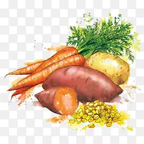 蔬菜-空若网 蔬菜-空若网