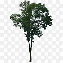 С��ҹ��Ψ������-������