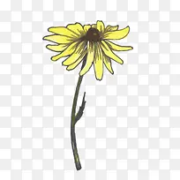 树枝上的花-空若网 树枝上的花-空若网