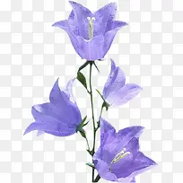 几何形状素材透明线条素材 紫色-空若网 几何形状素材透明线条素材 紫色-空若网