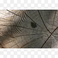 ľͷ�Ѻ۱���-������