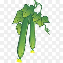 黄瓜png矢量元素-空若网 黄瓜png矢量元素-空若网