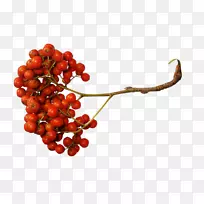 桃花莓夹艺术杂志-空若网 桃花莓夹艺术杂志-空若网