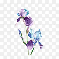 ˮ�ʻ���-������