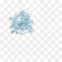 花卉图案鲜花素材-空若网 花卉图案鲜花素材-空若网