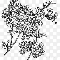 花卉白描树枝-空若网 花卉白描树枝-空若网