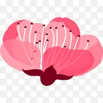 ��ɫ�һ�-������