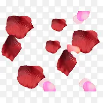 粉色花瓣素材ps花瓣素材-空若网 粉色花瓣素材ps花瓣素材-空若网