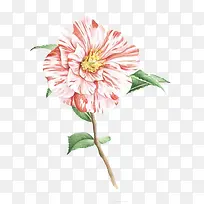 手绘水彩花卉艺术元素-空若网 手绘水彩花卉艺术元素-空若网