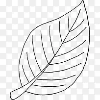 手绘树叶-空若网 手绘树叶-空若网