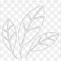 �ֻ�Ҷ��-������