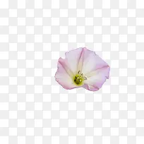 动态线条素材波浪线条素材-空若网 动态线条素材波浪线条素材-空若网